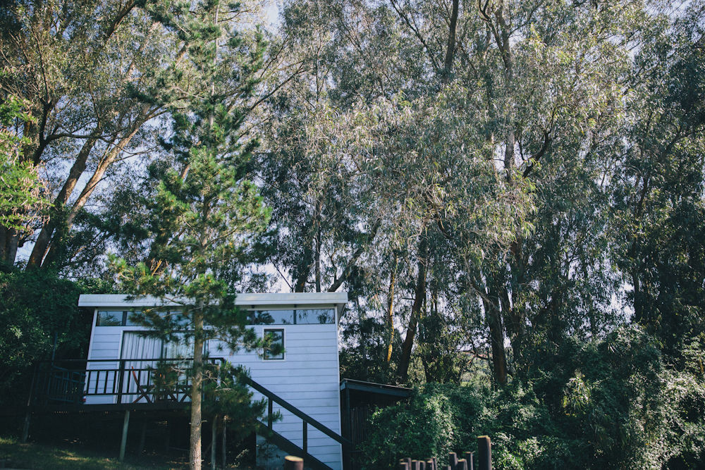 L'Auberge Country Hideaway Port Elizabeth Buitenkant foto