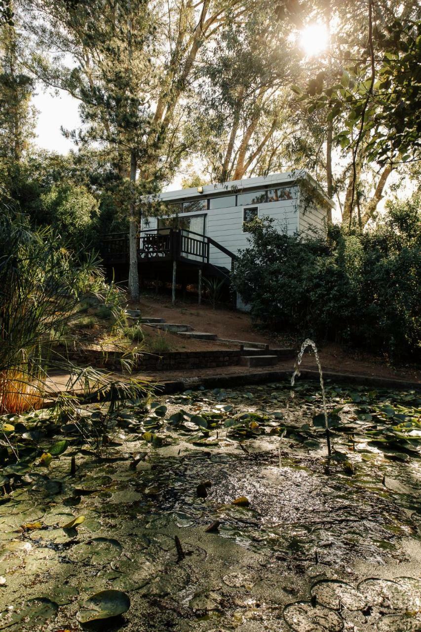 L'Auberge Country Hideaway Port Elizabeth Buitenkant foto