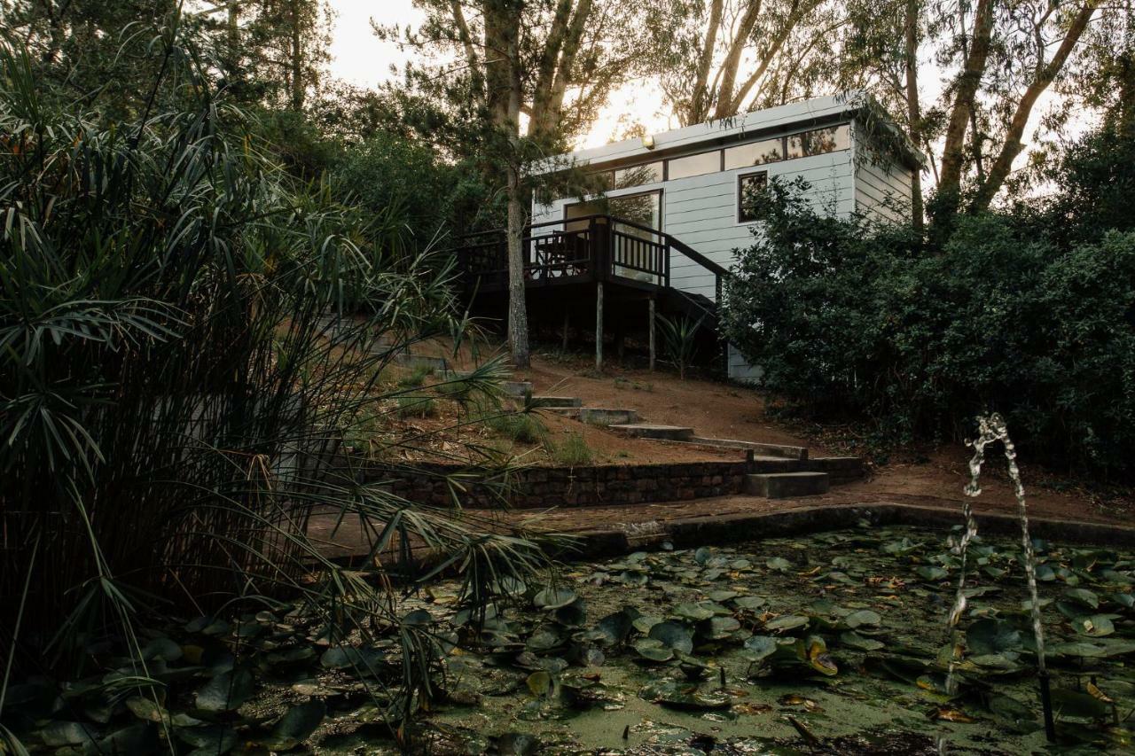 L'Auberge Country Hideaway Port Elizabeth Buitenkant foto