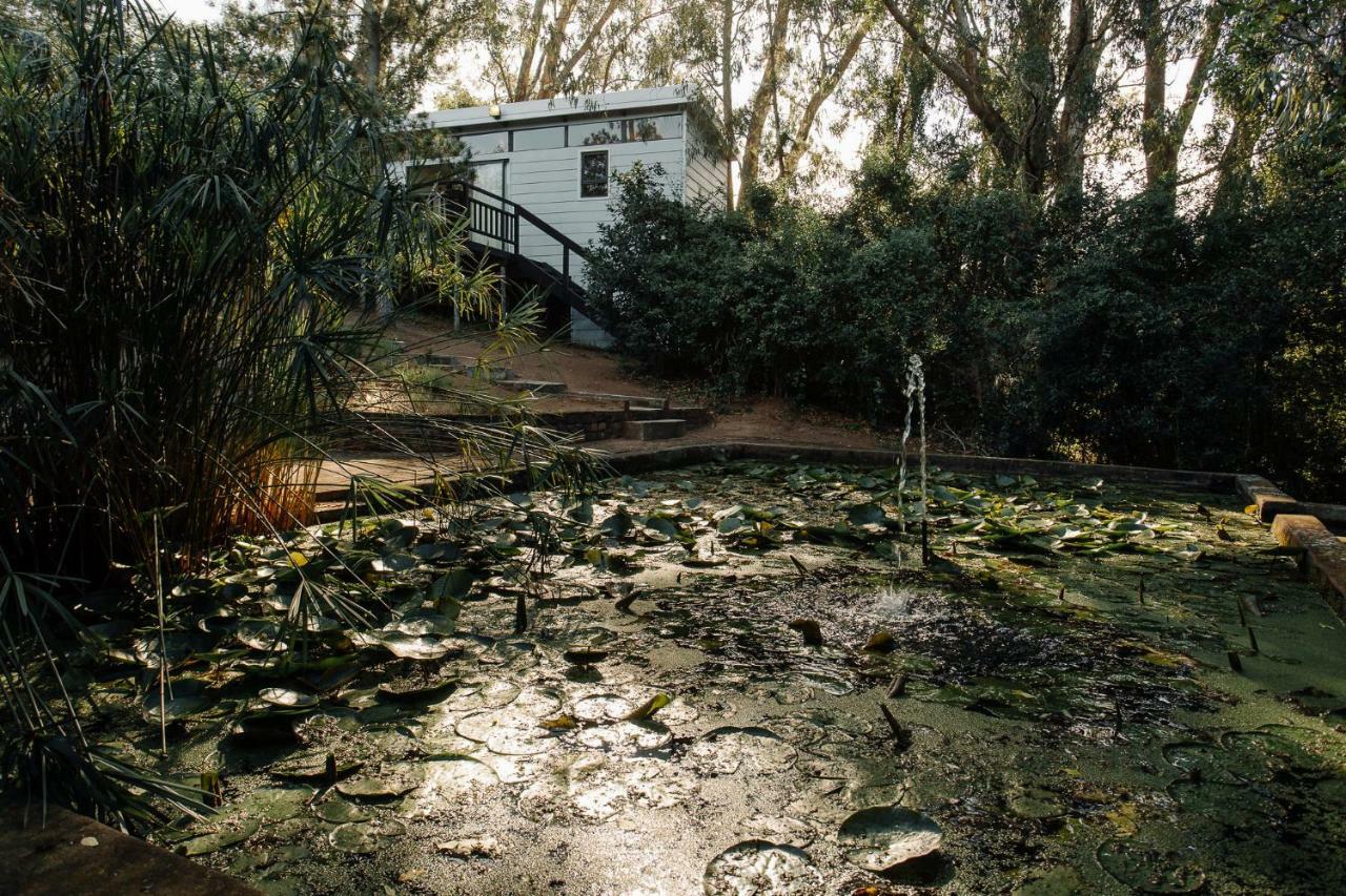 L'Auberge Country Hideaway Port Elizabeth Buitenkant foto
